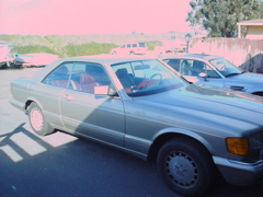DSC01109.JPG